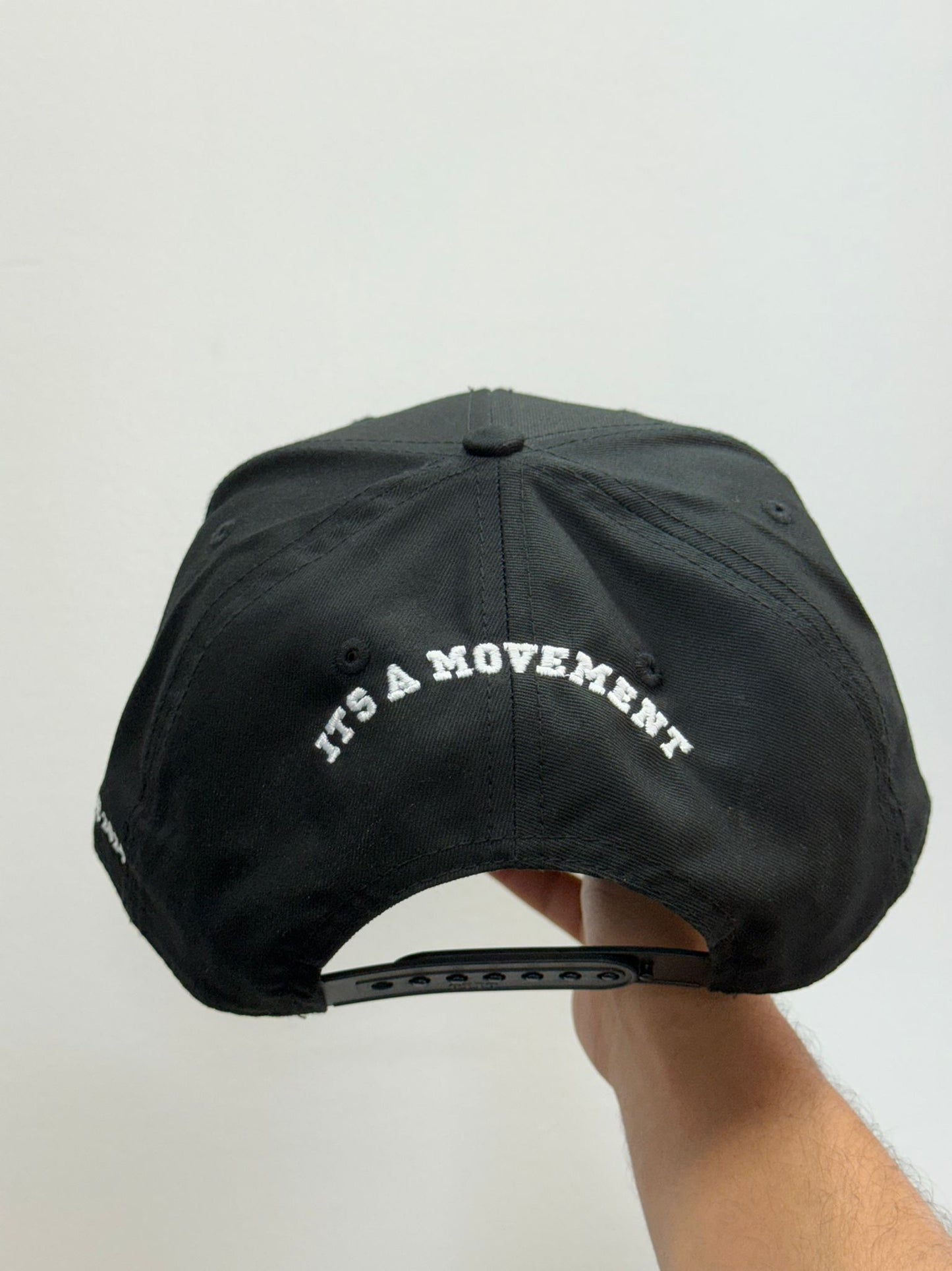 TB Snap back Hat
