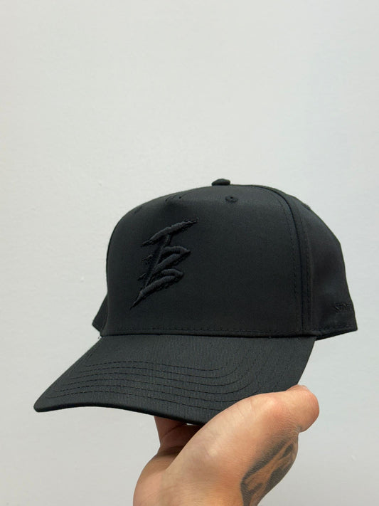 TB snap back hat